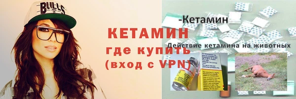 ПСИЛОЦИБИНОВЫЕ ГРИБЫ Сясьстрой