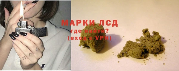 сатива Балахна