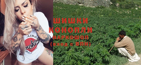 сатива Балахна