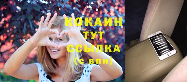 сатива Балахна