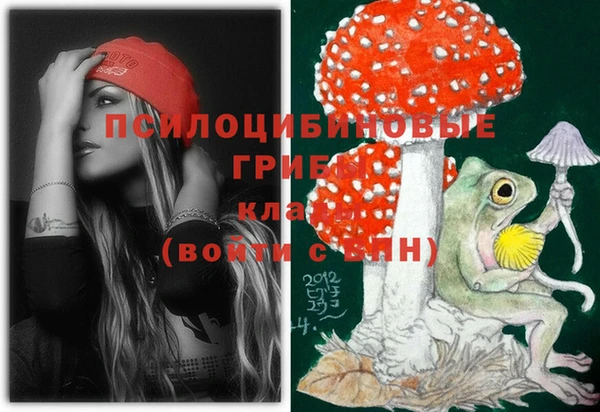 мяу мяу мука Тайга