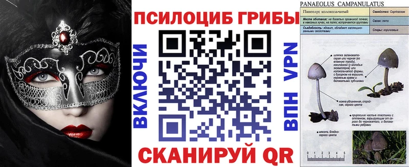 Галлюциногенные грибы Magic Shrooms mega маркетплейс Кулебаки купить наркотики сайты